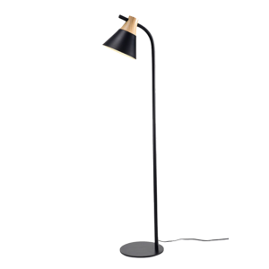 Fini Modern Floor lamp-1